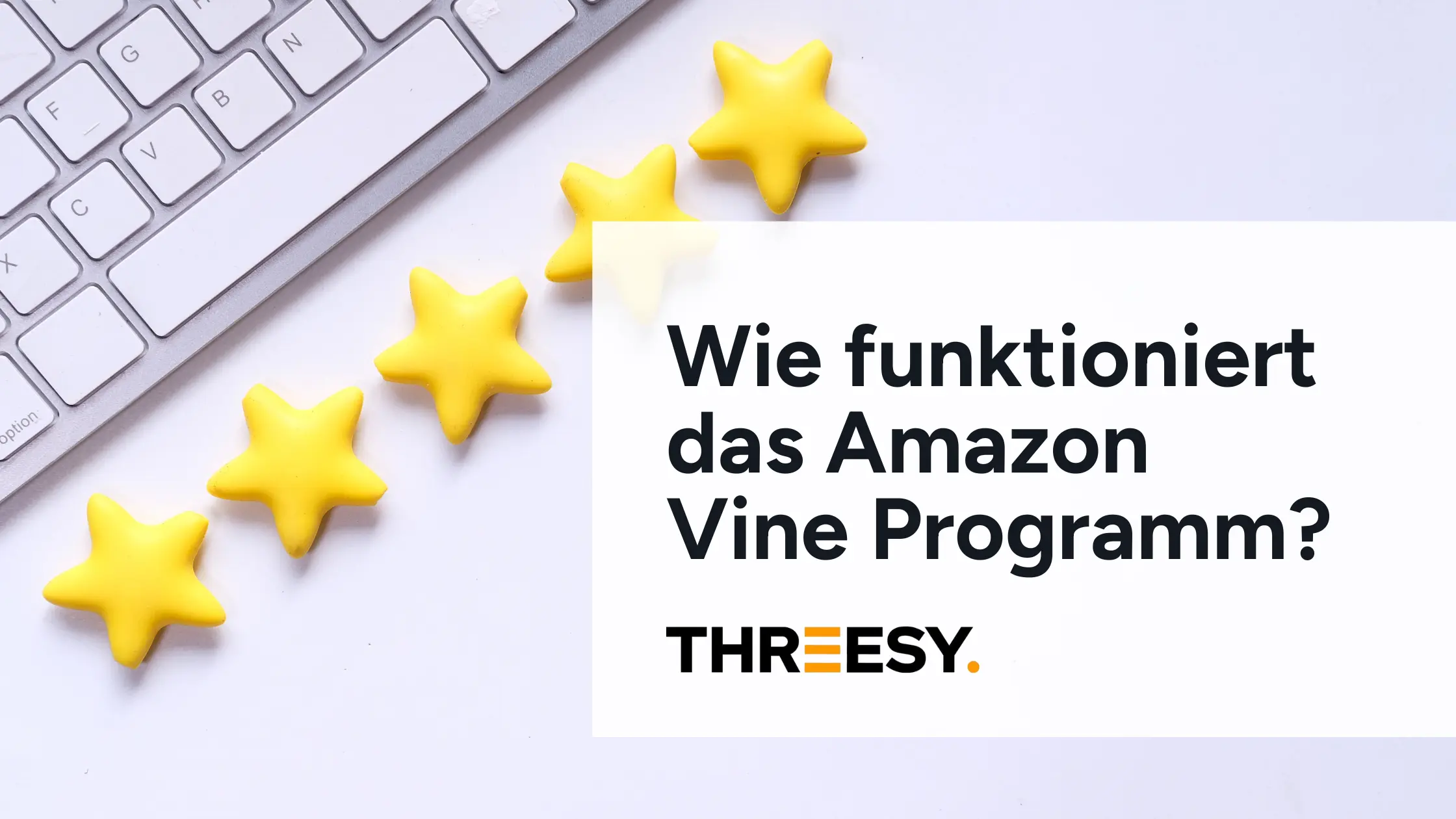 Wie funktioniert das Amazon Vine Programm